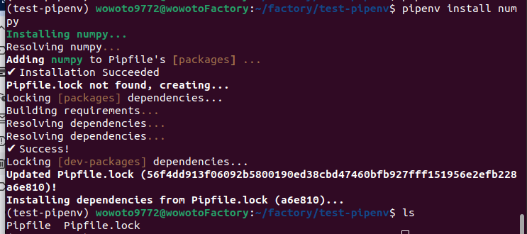 pipenv 로 python 가상환경 설정하기