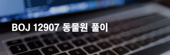 BOJ 12907 동물원 풀이