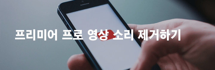 프리미어 프로 영상 소리 제거하기